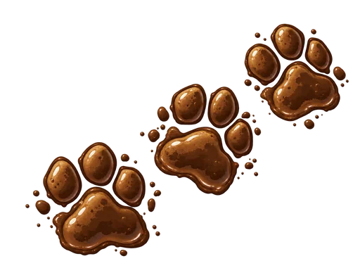 A trail of muddy pawprints across the entryway